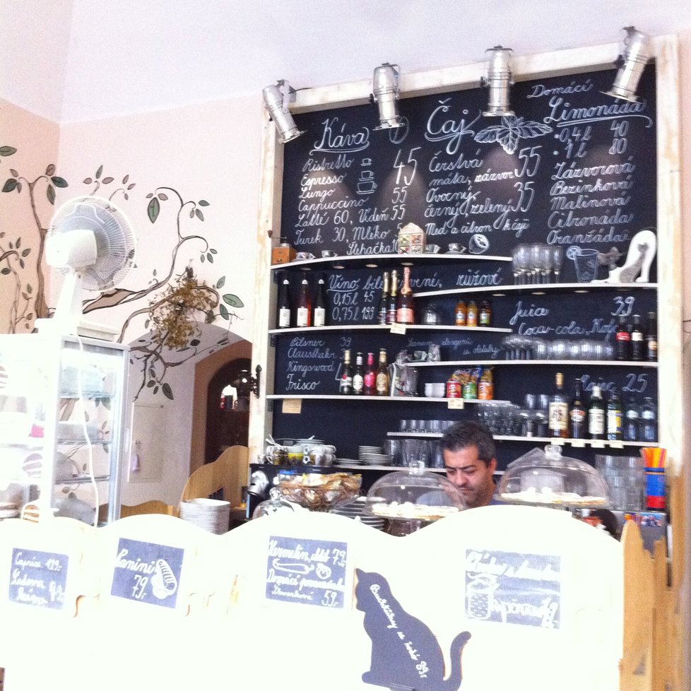 Kavárník Ivan v kočičí kavárně na Smíchově