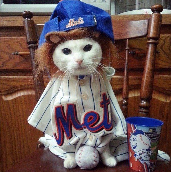 Baseballový fanoušek Mets