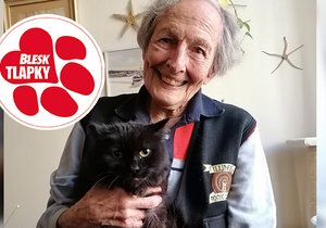 Paní Margit Hirschová (90) se svým kocourem, kterého má z policejního útulku. Na kočky v útulku věnovala 40 tisíc.