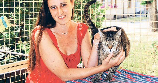 Lucie Malečková pomáhá v hodonínském útulku pro kočky. Tam mohly nalézt zabité kočky ze zoo útočiště