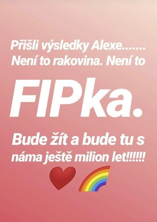 Anna Slováčková měla strach o kocourka Alexe.