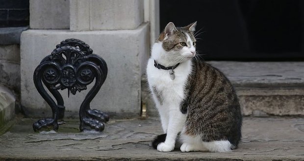 Cameron se loučí s Downing Street. Premiérský kocour Larry ale zůstává