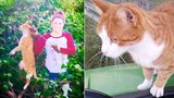 Veterinářka střelila kočku z luku: Fotkou se chlubila na Twitteru