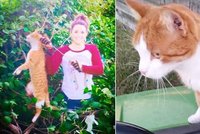 Veterinářka střelila kočku z luku: Fotkou se chlubila na Twitteru