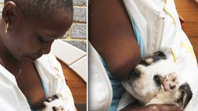 Jihoafričanka kojí své měsíční štěně