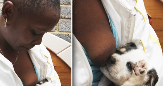 Jihoafričanka kojí své měsíční štěně