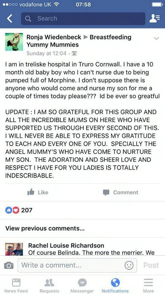 Ronja požádala o pomoc ve skupině kojících matek na Facebooku.