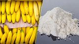 Kokain za miliardy našli ve skladu u Prahy, podezřelé balíčky objevili zaměstnanci v banánech