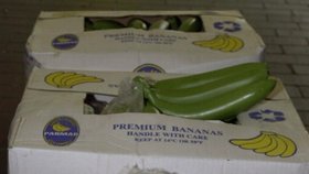 Kokain v zásilce banánů: Foto z Belgie, 2001