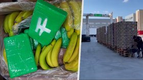 Kokain v supermarketech v Rychnově a v Jičíně: Krabice s drogou prý vypadaly na první pohled jinak!