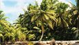 Kokosové ostrovy (též Keelingovy ostrovy) tvoří dva atoly a 27 korálových ostrovů.