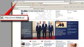 Hacker si vystřelil z české vlády. Na její web nasměroval doménu kokoti.cz