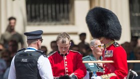 Členové britské královské gardy nosí tradiční klobouky vyrobené z medvědí kožešiny