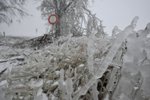 Loni zasáhla Česko rozsáhlá ledovka. Sníh a popadané stromy uzavíraly silnice.