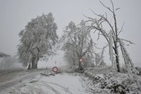 Velká lednová předpověď počasí: Nejdříve tepleji, na konci měsíce přituhne!