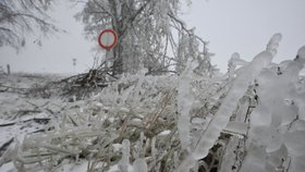 Loni zasáhla Česko rozsáhlá ledovka. Sníh a popadané stromy uzavíraly silnice.