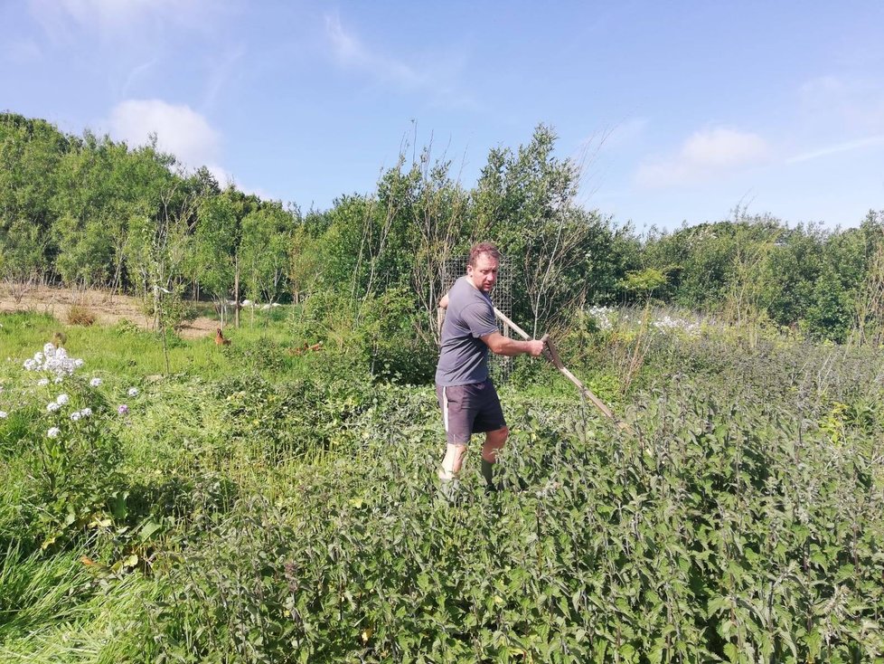 Mathew a Charis Watkinsonovi se vzdali života v kapitalismu, aby se naplno věnovali své farmě na velšském venkově.