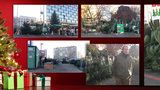 Stánkaři v Praze začali prodávat vánoční stromky: Kde a za kolik je koupíte?