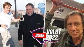 Viki ze Sněženek a machrů, Töpfer či Kolečko: Které známé tváře kandidují v letošních volbách?