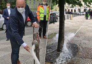 Praha bude zalévat podzemní vodou