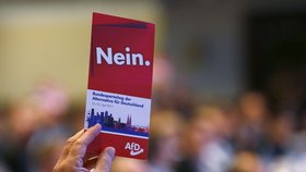 Sjezd AfD v Kolíně nad Rýnem