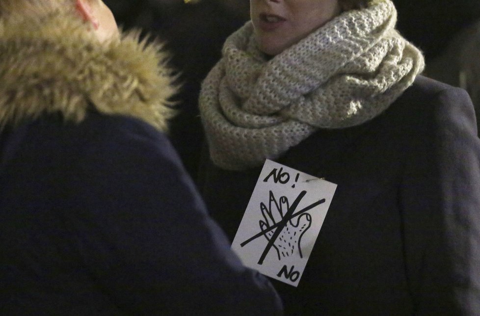 Příliv uprchlíků v Německu vyvolal řadu demonstrací.