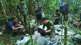 Podcast: Děti přežily v kolumbijské džungli. Nejnebezpečnější je hmyz, tvrdí bioložka 
