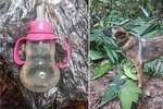 Čtyři malé děti přežily v kolumbijské džungli více než dva týdny.