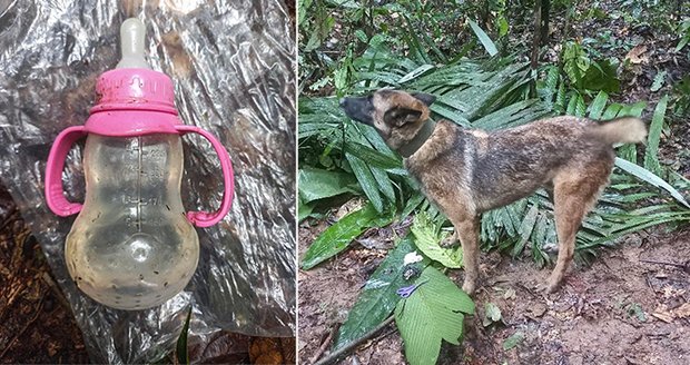 Čtyři děti přežily přes dva týdny v kolumbijské džungli. Máma zemřela při pádu letadla