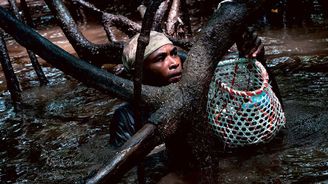 Concheros: Do bahna mangrovových porostů s kolumbijskými sběrači mušlí