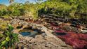 Cano Cristales naštěstí leží na okraji amazonské džungle, a tak je nezasaženo turismem