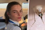Budoucí pilotka (†21) zemřela po komářím kousnutí.