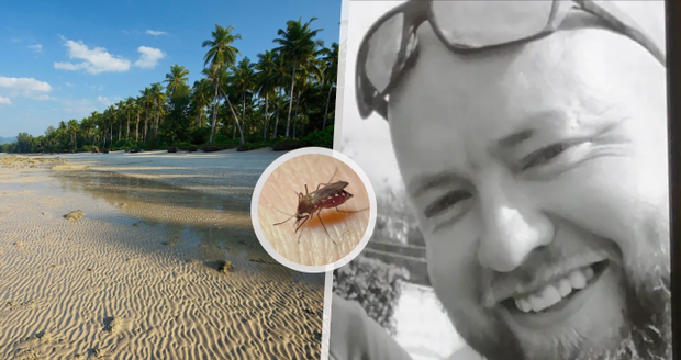 Turistu v Thajsku po kousnutí komárem uchvátila nebezpečná horečka Dengue