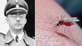 Nacisté potají vyvíjeli biologické zbraně: Chtěli ovládnout svět pomocí nakažených komárů!