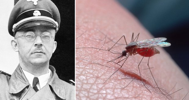 Nacisté potají pracovali na vývoji biologické zbraně - chtěli svět nakazit malárií!
