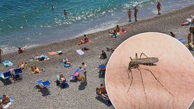 Exotická nemoc má v Chorvatsku první oběť. Smrtící komáři jsou i v Řecku a Itálii