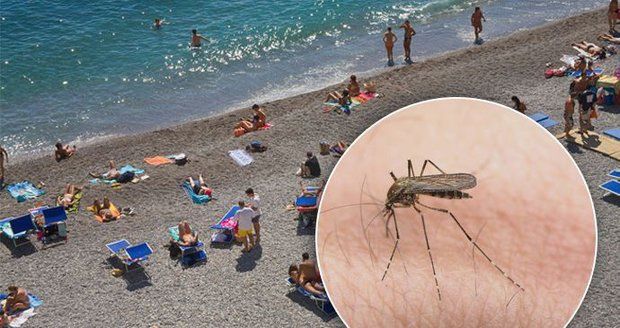 Exotická nemoc má v Chorvatsku první oběť. Smrtící komáři jsou i v Řecku a Itálii