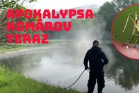 „Zastavme invazi vetřelců.“ Města v Česku zahájila boj s komáry, Bratislava má letectvo i pěchotu