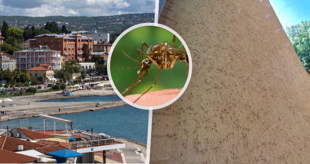 Katastrofa v dovolenkovém ráji Čechů: Chorvatsko terorizují přemnožení komáři!