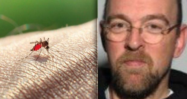 Entomolog pro Blesk: Komáři člověka hledají podle smradu z nohou! 
