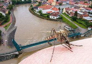 Na jižní Moravě hrozí přemnožení komárů, důvodem jsou vydatné deště, zvedla se hladina řek