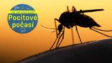 Startují horké dny: Nebude nám dobře a komáři začnou jančit