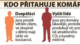 Komáři jsou nesnesitelný hmyz, to je fakt. Ale co je opravdu přitahuje a odpuzuje? Níže najdete spoustu informací, které byste měli o komárech vědět.