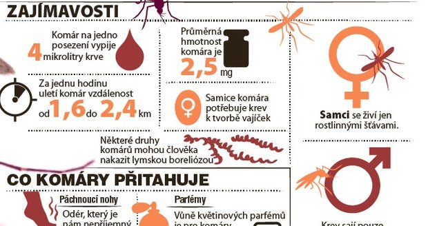 Komáři jsou nesnesitelný hmyz, to je fakt. Ale co je opravdu přitahuje a odpuzuje? Níže najdete spoustu informací, které byste měli o komárech vědet.