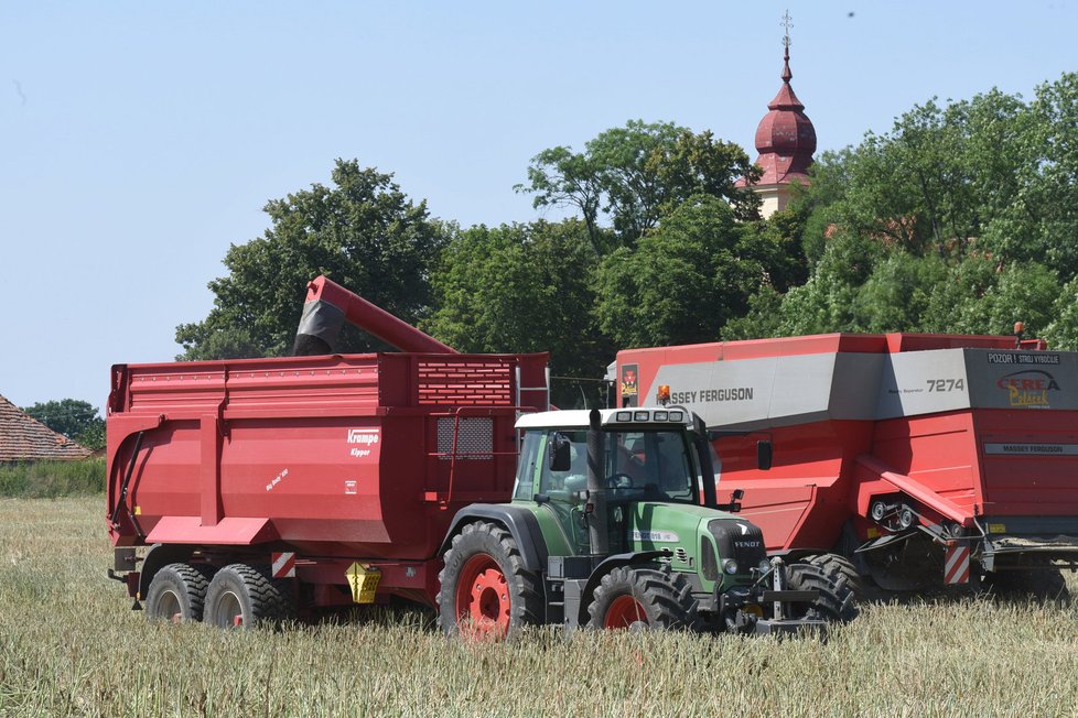 Plodina sklizená za hodinu práce je z kombajnu na valník přemístěna během několika minut