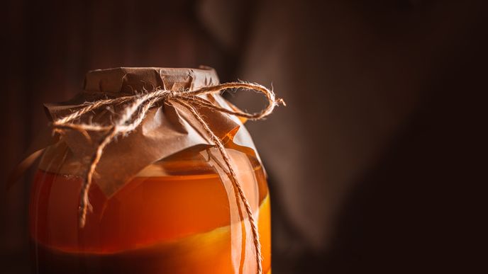 Kombucha, jeden z populárních všeléků Kombucha, jeden z populárních všeléků