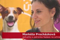 VIDEO: Pomozte naplnit misky v útulcích