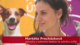 VIDEO: Pomozte naplnit misky v útulcích