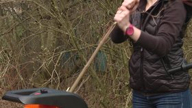 VIDEO: Drtiče a štěpkovače hravě zatočí se zahradním odpadem