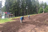 Sjezdovky na Špičáku zahrnulo 50 tun kompostu: Zpevní trať a ušetří technický sníh